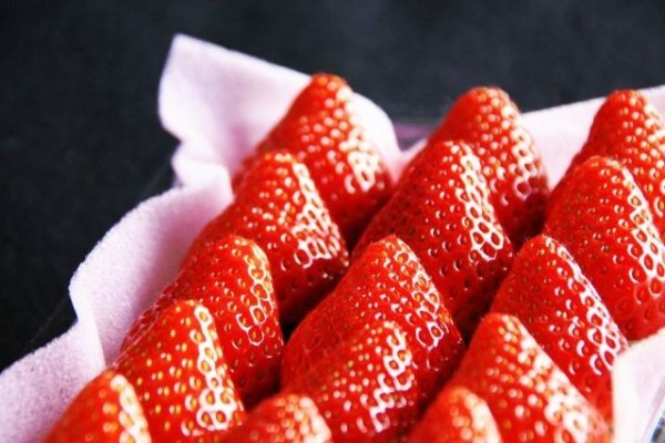 画像1: 2月14日（土）１４時〜愛知県常滑市　女性用　２０代後半から３０代前半中心 　（年代超えOK）　５人対５人程度　イチゴ狩り＆ケーキ会パーティー (1)